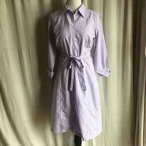 346 Brooks Brothers Dress